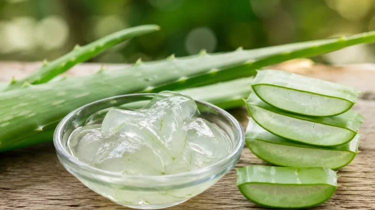 Manfaat Lidah Buaya untuk Masker Wajah
