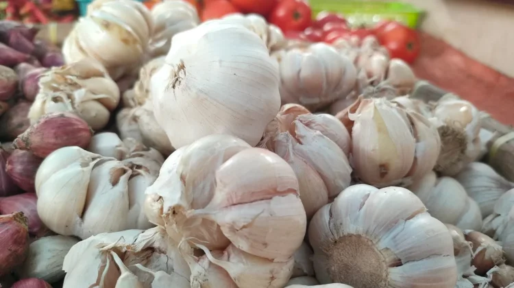 Harga Bawang Putih di Bintuhan Mulai Turun