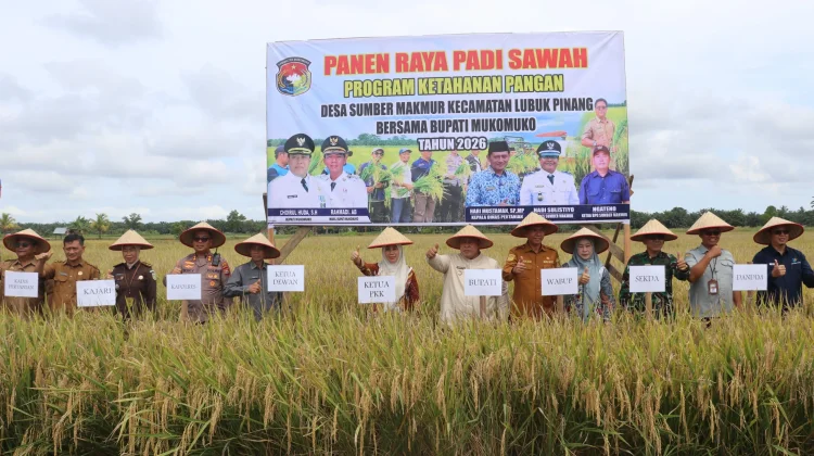 Panen Raya Sumber Makmur Perkuat Ketahanan Pangan Mukomuko