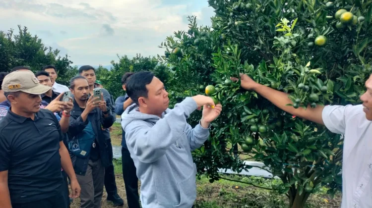 Ketua DPD RI Sultan Dorong Jeruk Rejang Lebong untuk Dukung Program MBG