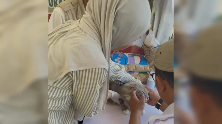 MTQ ke XXXVII Bengkulu, Dispertan Seluma Buka Layanan Vaksin Rabies Gratis