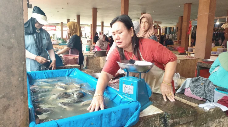 Harga Ikan Air Tawar di Bintuhan Naik