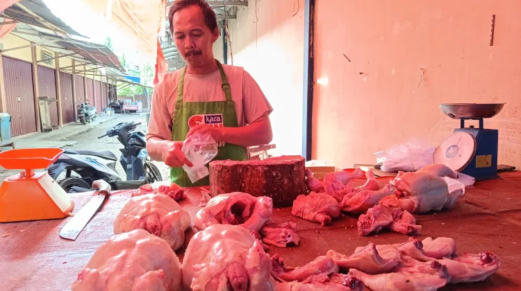 Harga Daging Ayam Potong Kembali Naik