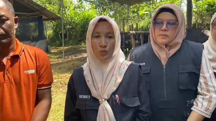 500 Dosis Vaksin PMK Sudah Disuntikkan, Dispangtan Bengkulu Pastikan Hewan Kurban
