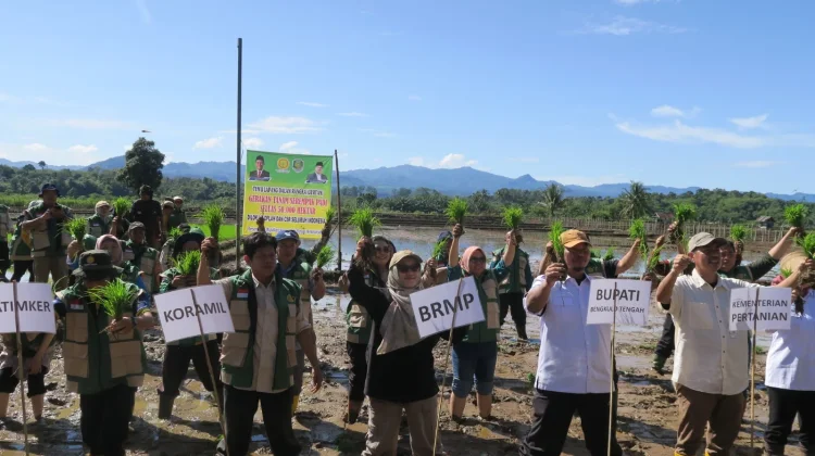 BRMP Bengkulu Kawal Gerakan Tanam Serentak di Bengkulu Tengah