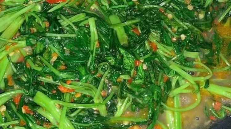 Tumis Kangkung Menu Sederhana dan Mudah di Olah