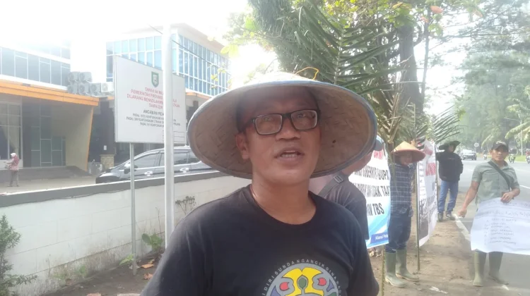 Petani Sawit Bengkulu Minta Pemprov Perketat Pengawasan Pabrik Sikapi Harga TBS