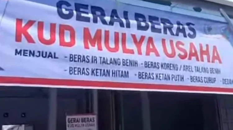 Beras Talang Benih Curup Hadapi Persaingan Komoditas