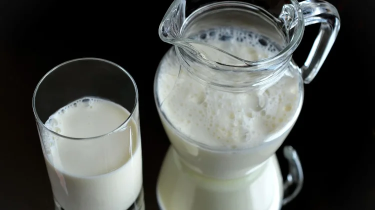 Soda Susu Jadi Minuman Favorit Anak Muda saat Cuaca Panas