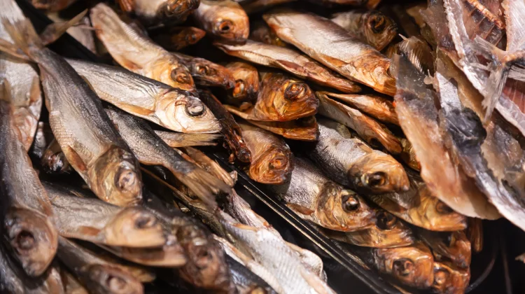 Tips Aman Konsumsi Ikan Asin agar Tetap Nikmat dan Menyehatkan