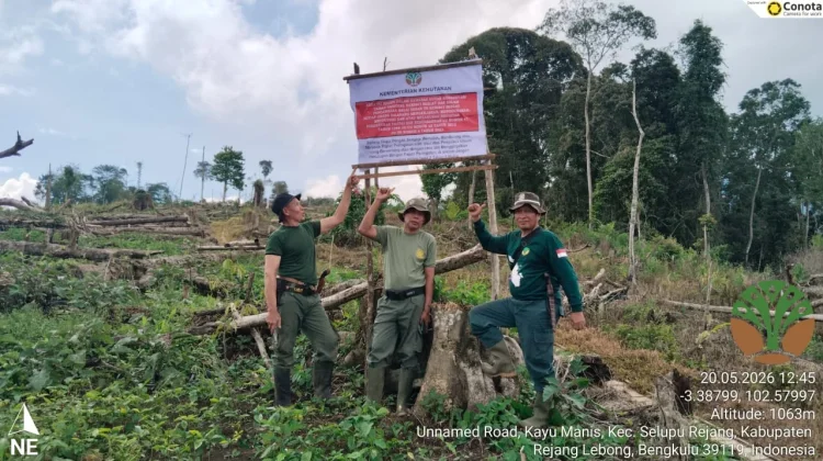 Puluhan Hektar Lahan di Kawasan TNKS Wilayah VI digarap untuk Kebun Kopi