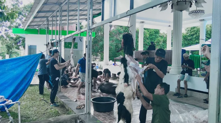Masjid Ali Wal Asri Terima Bantuan Sapi Kurban dari Gubernur Bengkulu