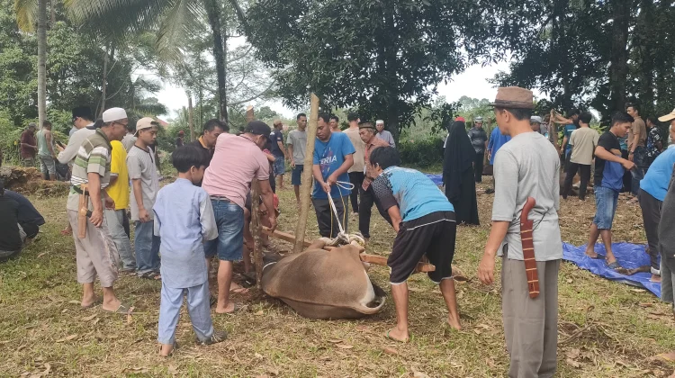 Masjid Nurul Hidayah Karang Anyar 1 Sembelih 9 Sapi dan 2 Kambing