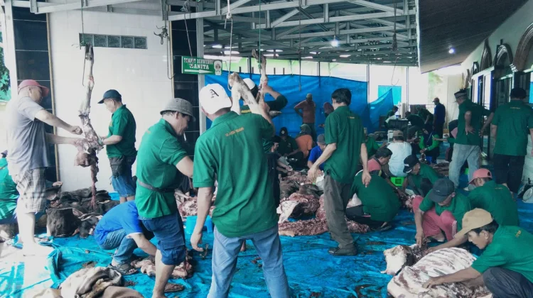 Masjid Baiturrahim Kelurahan Bajak Sembelih 11 Ekor Sapi Kurban Iduladha 1447H
