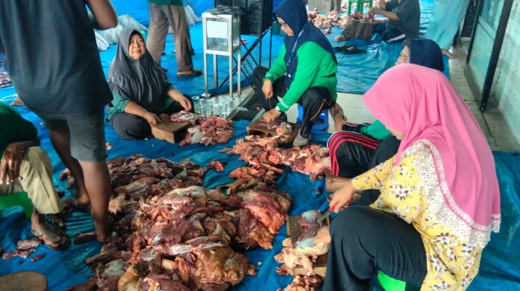 Dinkes Bengkulu Ingatkan Risiko Kolesterol Saat Iduladha 2026
