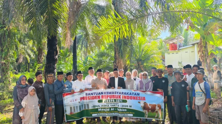 Bupati Teddy Rahman Serahkan Bantuan Sapi Kurban Presiden ke Warga Kembang Mumpo