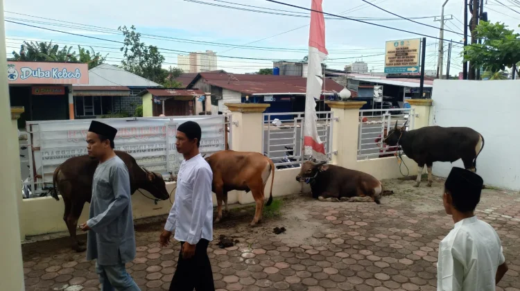 Pengurus Masjid Baitul Atiq Bengkulu Siapkan 10 Hewan Kurban
