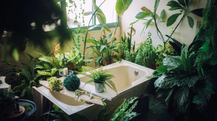 Cara Membuat Pengharum Kamar Mandi Sederhana di Rumah