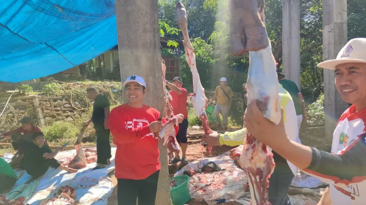 Idul Adha 1447 H, Kemenag Kota: Hewan Qurban Naik Enam Persen Tahun Ini
