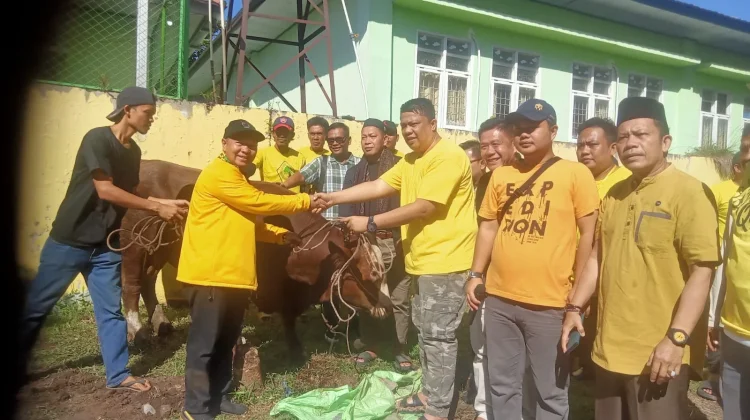 Golkar Bengkulu Salurkan Enam Hewan Kurban Iduladha 1447 H