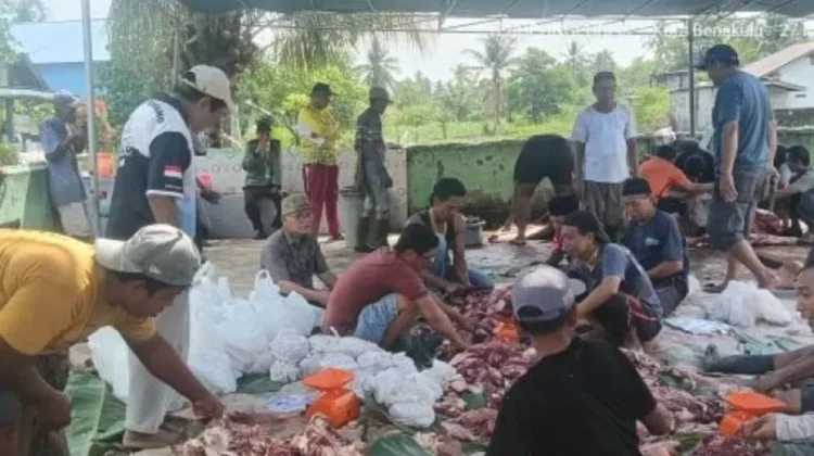 Iduladha 1446 H, Warga RT 08 Sukamerindu dan Jamaah Masjid Awaludin Sembelih Kurban