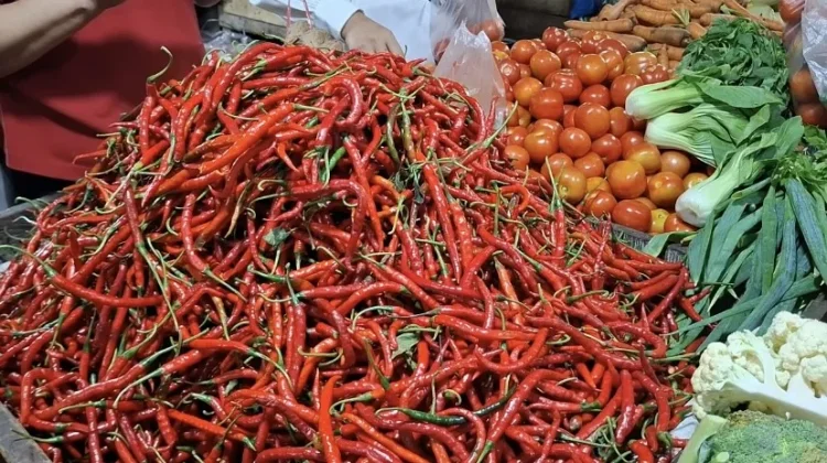 Harga Cabai dan Sayuran di Pasar Minggu Bengkulu Mulai Turun Pasca idul adha