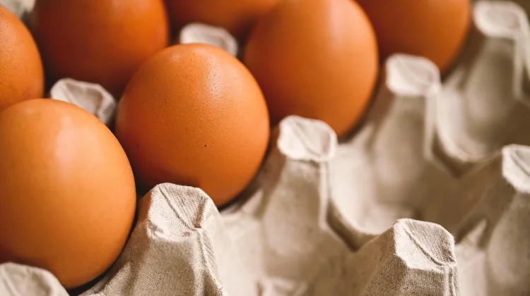Cara Memilih Telur Ayam yang Bagus Wajib Anda Ketahui