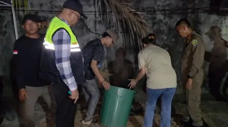 Pengaduan Ketibum, Satpol PP Kota Bengkulu Sediakan Nomor Layanan Khusus