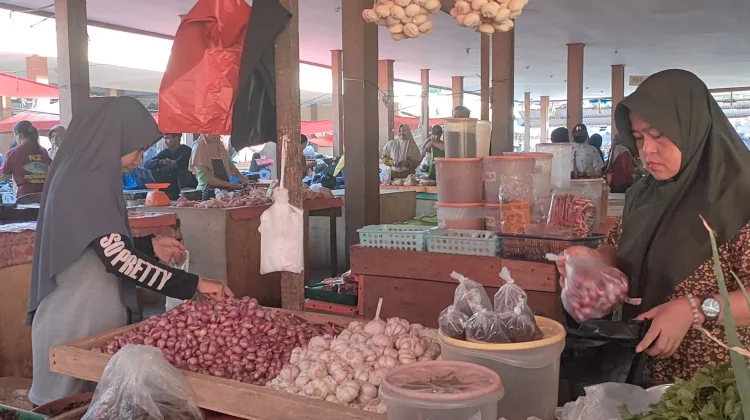 Harga Bawang Merah di Kota Bintuhan Tembus Rp60.000/kg