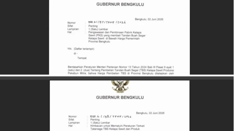 Harga Sawit Belum Stabil, Pemprov Bengkulu Terbitkan Dua Surat Tegas