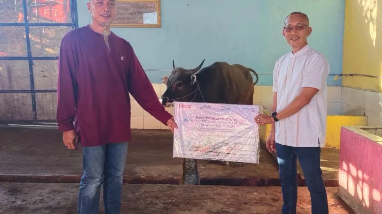 Perkuat Kepedulian Sosial, PTP Nonpetikemas Bengkulu Salurkan Hewan Kurban