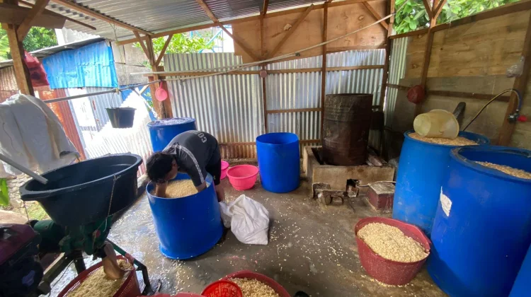 Pengusaha Tempe di Bengkulu Kurangi Ukuran Produk