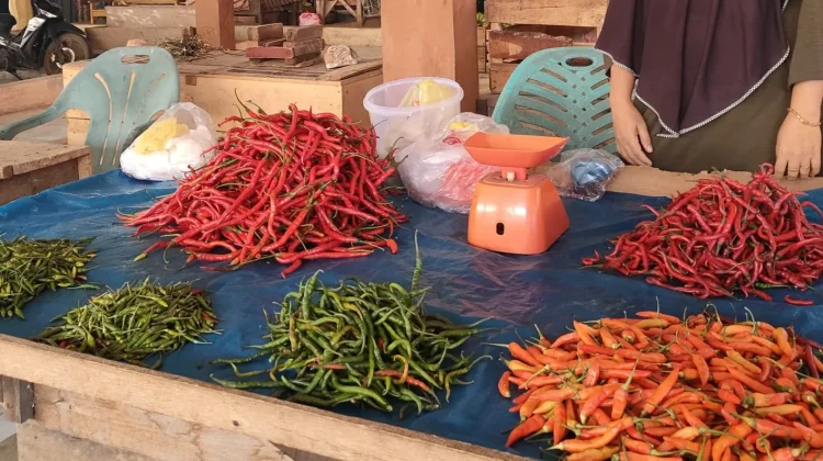 Harga Cabai Rawit di Pasar Inpres Bintuhan Masih Tinggi
