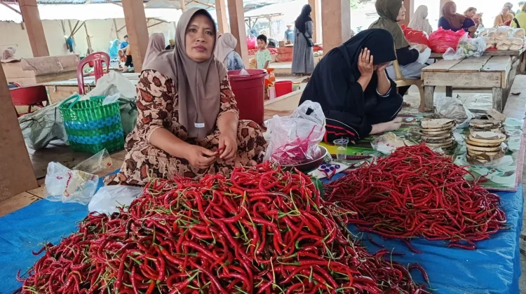 Harga Cabai Merah di Bintuhan Mulai Alami Penurunan