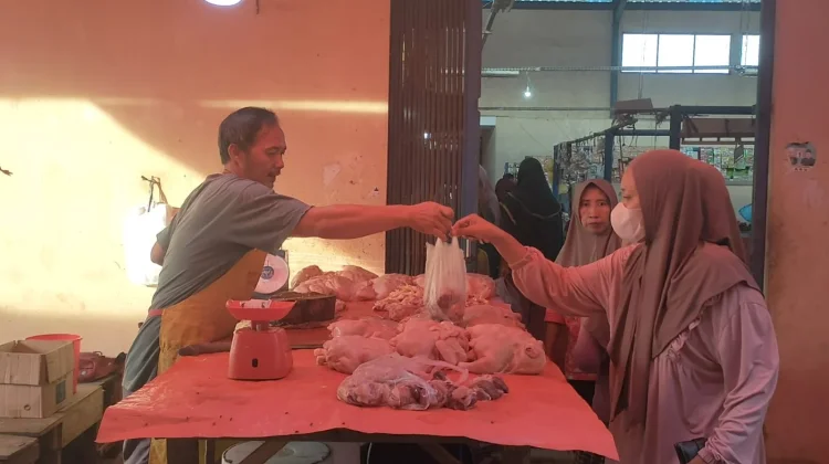 Harga Daging Ayam Potong di Bintuhan Masih Tinggi