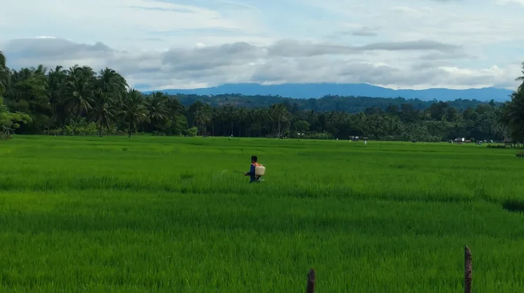 Kaur  Miliki 6 Wilayah Brigade Pangan