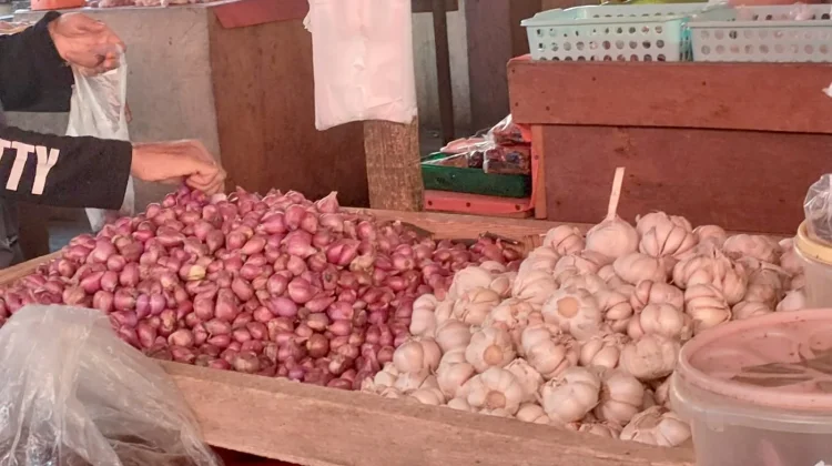 Harga Bawang Merah di Bintuhan Rp60.000/kg