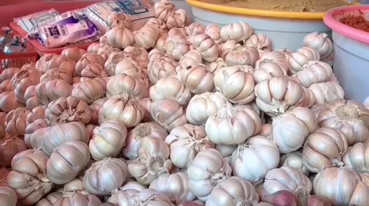 Harga Bawang Putih di Arga Makmur Naik