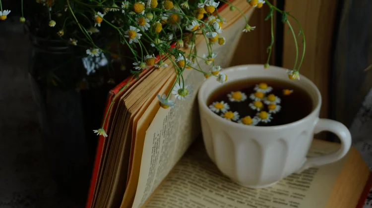Teh Chamomile dan Kualitas Tidur, Minuman Herbal Bantu Tidur Lebih Nyenyak
