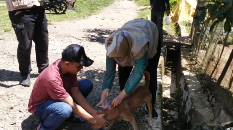 Kasus GHPR di Kabupaten Kaur Capai 89 Kasus
