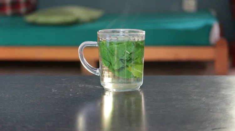 Usir Cenat-Cenut! 4 Minuman Pereda Sakit Kepala yang Ampuh dan Alami.
