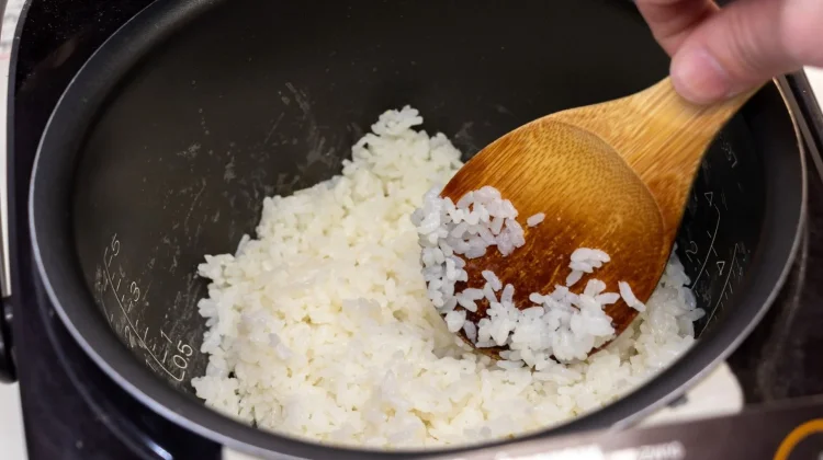 Nasi Terlihat Normal, Waspadai Ancaman Bakteri Tak Terlihat