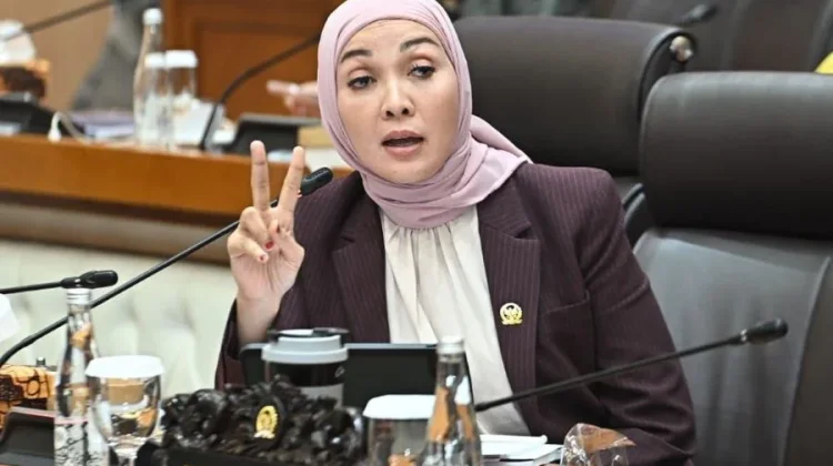 Erna Sari Dewi Dorong Penguatan Sarana Mitigasi Bencana di Bengkulu