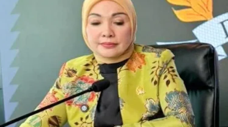 Anggota  Komisi   V DPR RI Merespon Program Strategis Rejang  Lebong