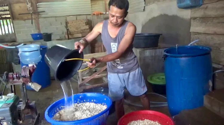 meski Harga  Kedelai Naik, Pasokannya Masih Stabil