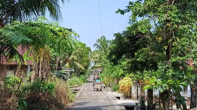 Wasapada 6 Penyakit Penyerta Cuaca Panas