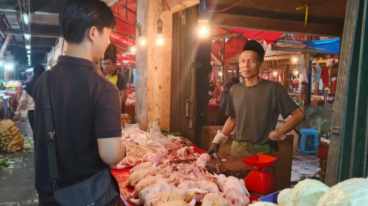 Stok Melimpah, Harga Daging Ayam di Bengkulu Mulai Turun