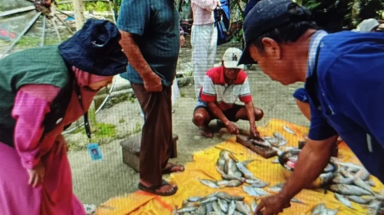 Ikan Asin Enggano Naik Kelas, InovasiAkademisi Tingkatkan Nilai Ekonomi Hasil Tan