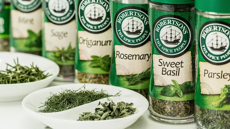 Menghirup Aroma Rosemary sebelum Bekerja, Benarkah Bisa Membantu Daya Ingat?