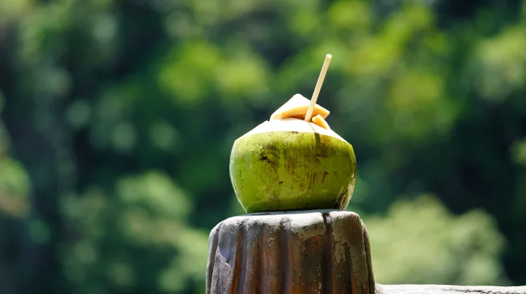 Air Kelapa, Minuman Alami yang Menyegarkan dan Kaya Manfaat bagi Tubuh